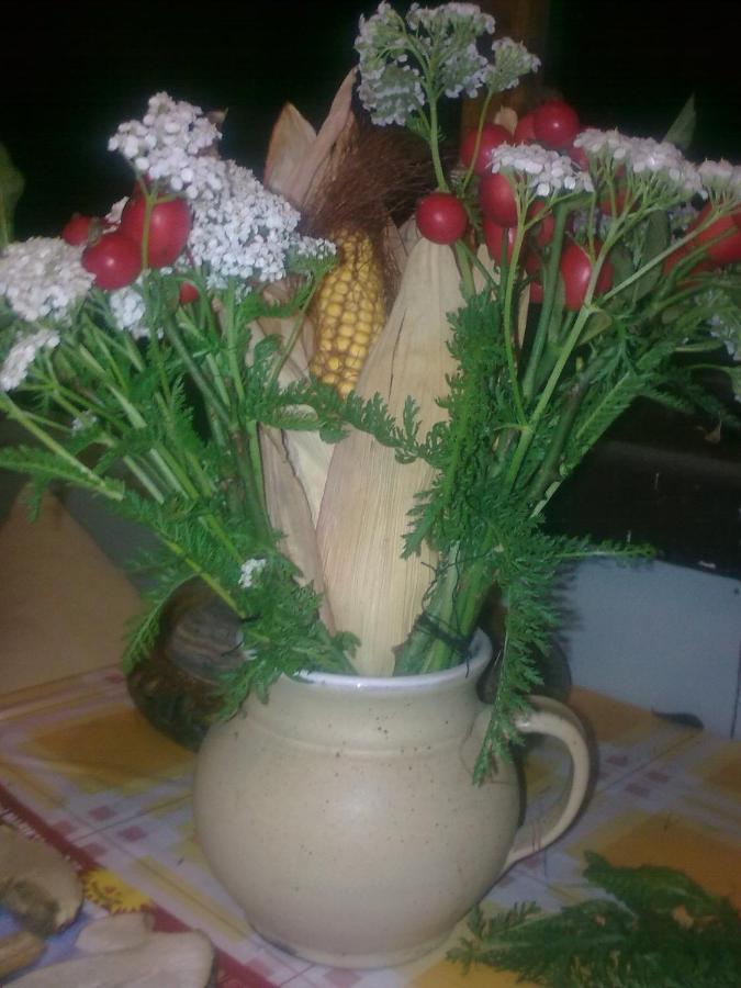 Chata Friday Ktová Zewnętrze zdjęcie